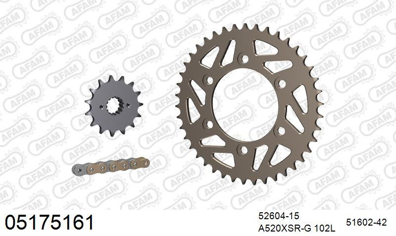 Zestaw napędowy AFAM do DUCATI 695 Monster