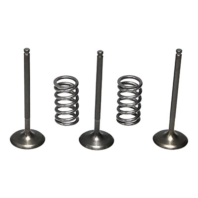 ProX Racing Parts ProX Zestaw Zaworów Ssących Stalowych (+sprężyny) YZ450F'03-09+WR450F'03-15