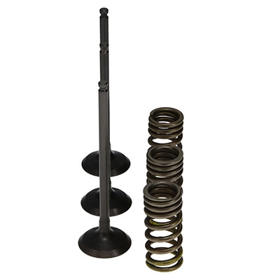 ProX Racing Parts ProX Zestaw Zaworów Ssących Stalowych (+sprężyny) YZ250F '01-13 + WR250F