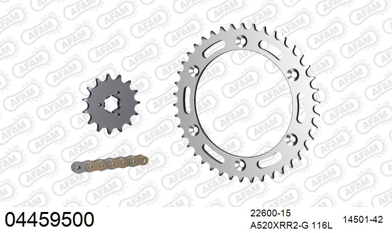 Zestaw napędowy AFAM do CAGIVA 500 T4 E-R