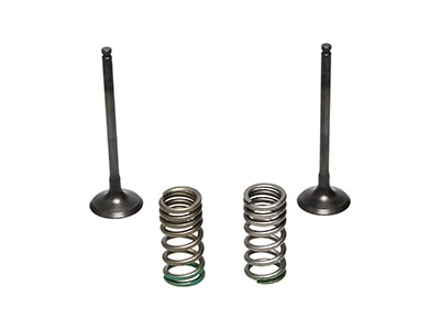 ProX Racing Parts ProX Zestaw Zaworów Wydechowych Stalowych (+sprężyny) YZ/WR250F '01-13