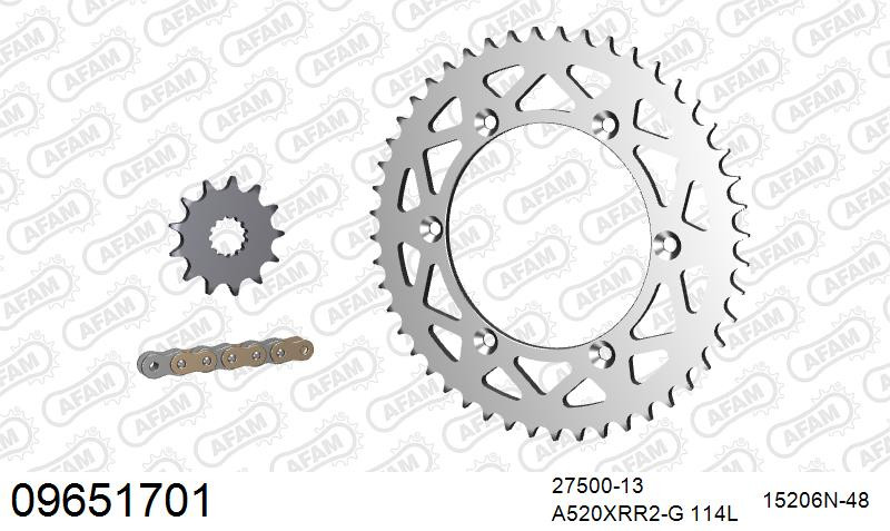 Zestaw napędowy AFAM do GASGAS EC 450 F