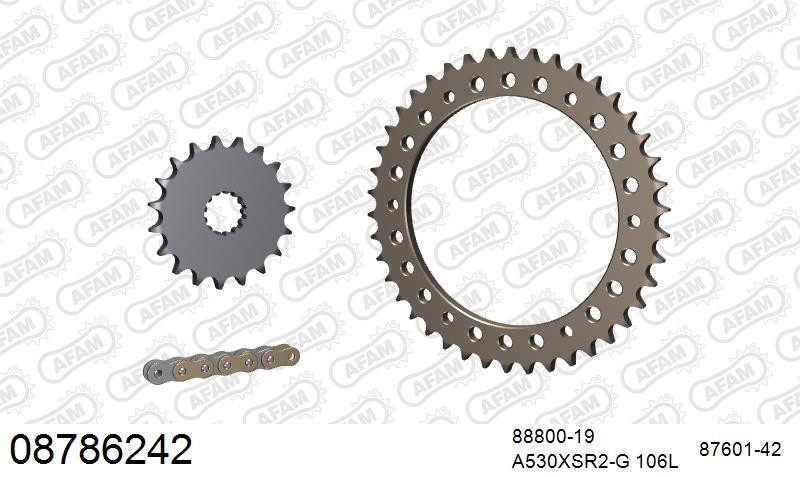 Zestaw napędowy AFAM do TRIUMPH Daytona 955 i Single Sided Swingarm