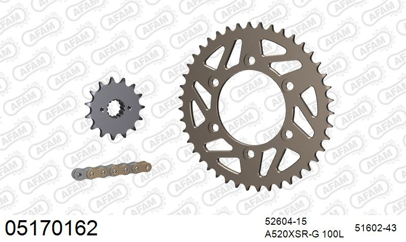 Zestaw napędowy AFAM do DUCATI 600 Monster