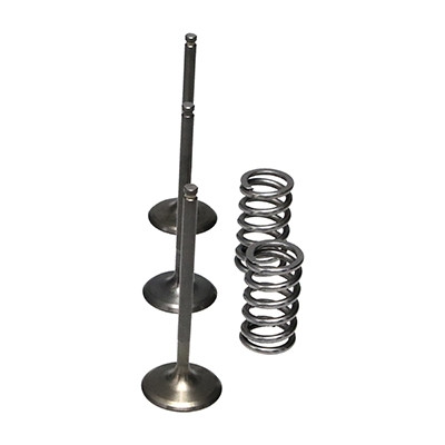 ProX Racing Parts ProX Zestaw Zaworów Ssących Stalowych (+sprężyny) YZ450F'03-09+WR450F'03-15
