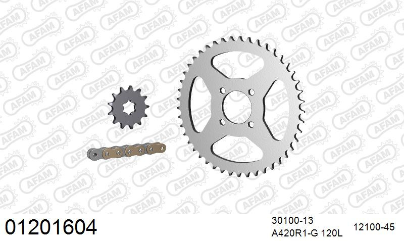 Zestaw napędowy AFAM do YAMAHA DT 50 R Automatique France