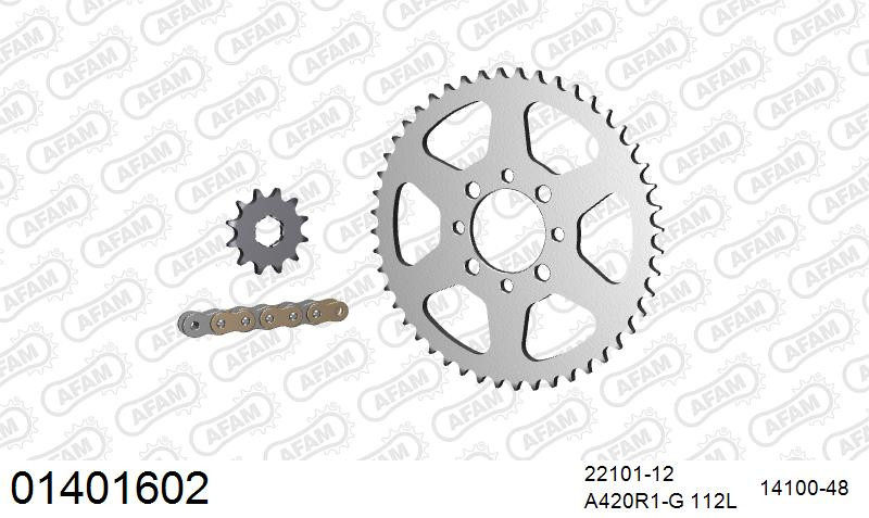 Zestaw napędowy AFAM do SUZUKI TS 50 APX Automatique France