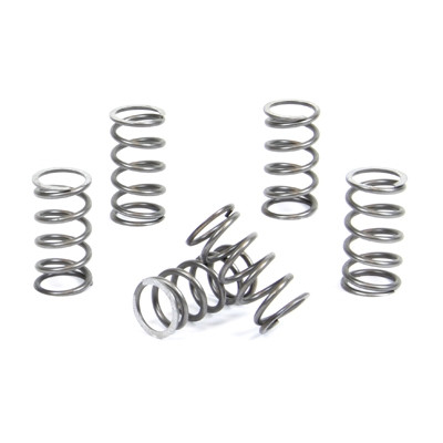 ProX Zestaw Sprężyn Sprzęgła KX60/65 '83-20 + RM65 '03-05