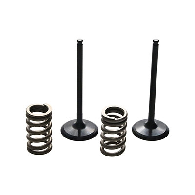 ProX Racing Parts ProX Zestaw Zaworów Ssących Stalowych (+sprężyny) YZ250F '14-18