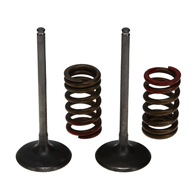 ProX Racing Parts ProX Zestaw Zaworów Ssących Stalowych (+sprężyny) Kit KX250F '04-06 RM-Z250 '04-06