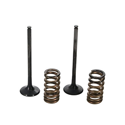 ProX Racing Parts ProX Zestaw Zaworów Wydechowych Stalowych (+sprężyny) KTM250SX-F/EXC-F '08-12