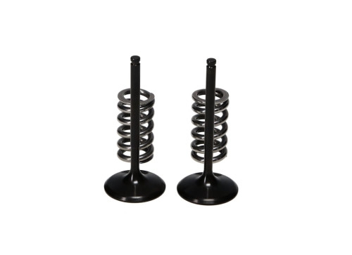 ProX Racing Parts ProX Zestaw Zaworów Ssących Stalowych (+sprężyny) YZ450F '10-13