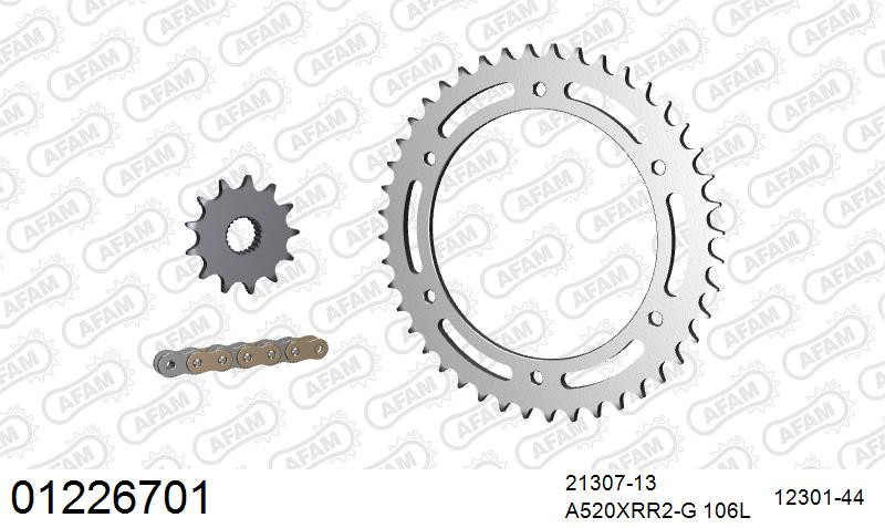 Zestaw napędowy AFAM do YAMAHA TT 250 R Rear Sprocket 44 T. L,M,N,P,R,S