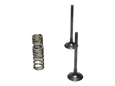 ProX Racing Parts ProX Zestaw Zaworów Wydechowych Stalowych (+sprężyny) YZ/WR250F '01-13