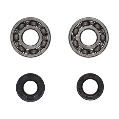 ProX Racing Parts ProX Zestaw Łożysk i Uszczelniaczy Wału Korbowego YZ125 '05-20