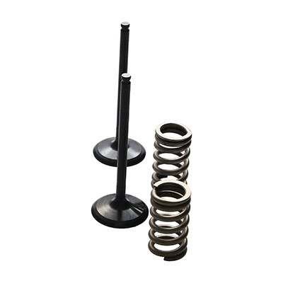 ProX Racing Parts ProX Zestaw Zaworów Ssących Stalowych (+sprężyny) YZ250F '14-18