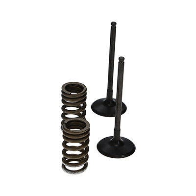 ProX Racing Parts ProX Zestaw Zaworów Ssących Stalowych (+sprężyny) RM-Z250 '07-20