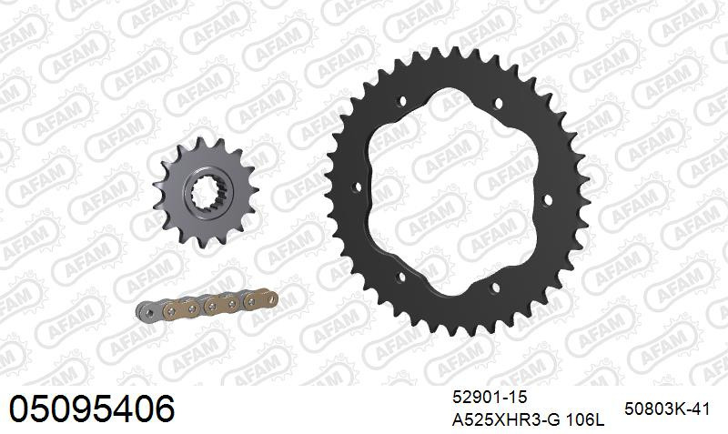 Zestaw napędowy AFAM do DUCATI 1199 Panigale R (for sprocket carrier PCD4)