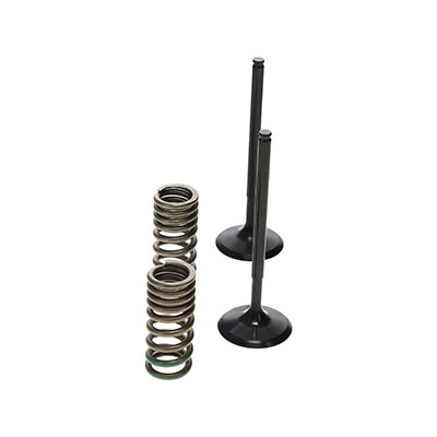 ProX Racing Parts ProX Zestaw Zaworów Ssących Stalowych (+sprężyny) CRF250R '10-17