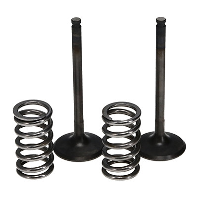 ProX Racing Parts ProX Zestaw Zaworów Wydechowych Stalowych (+sprężyny) YZ/WR450F '03-09
