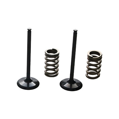 ProX Racing Parts ProX Zestaw Zaworów Ssących Stalowych (+sprężyny) YZ250F '14-18