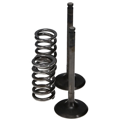ProX Racing Parts ProX Zestaw Zaworów Wydechowych Stalowych (+sprężyny) YZ/WR450F '03-09