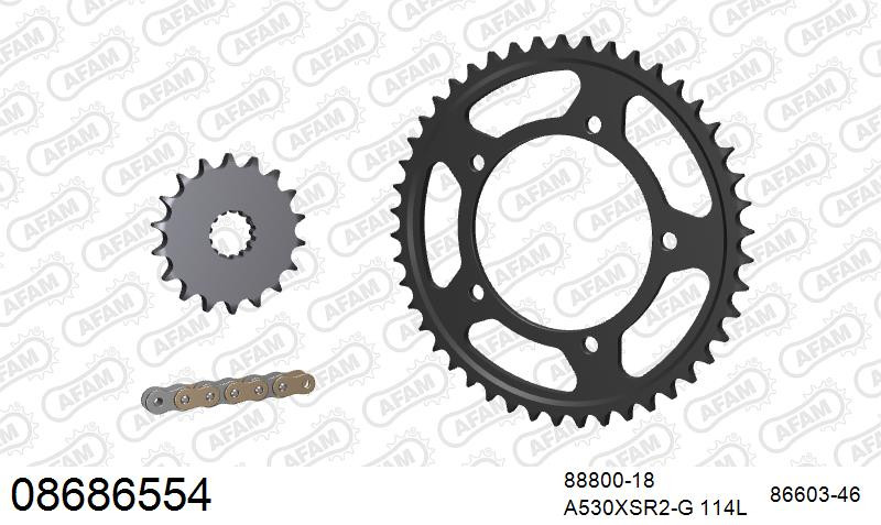 Zestaw napędowy AFAM do TRIUMPH Tiger 955, Tiger 955 From VIN 198875