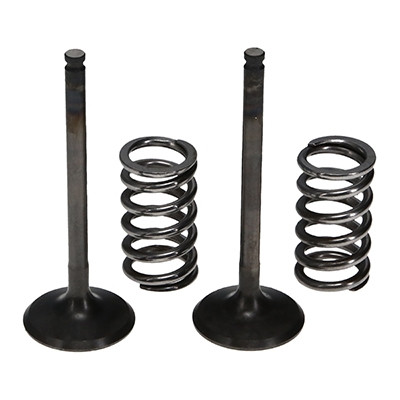 ProX Racing Parts ProX Zestaw Zaworów Wydechowych Stalowych (+sprężyny) YZ/WR450F '03-09