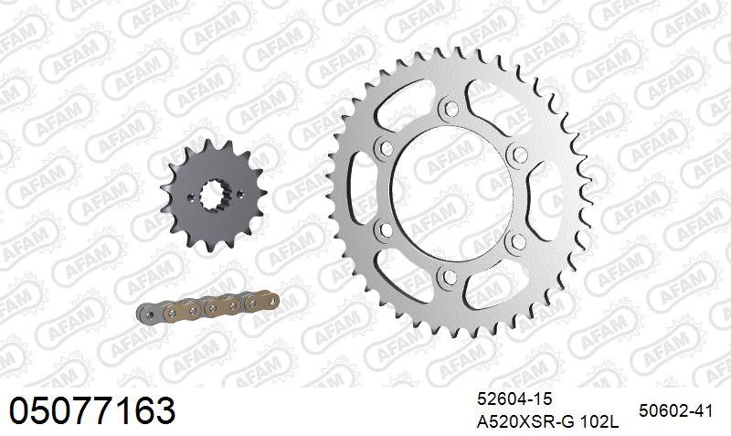 Zestaw napędowy AFAM do DUCATI 750 ie Monster, 750 Monster