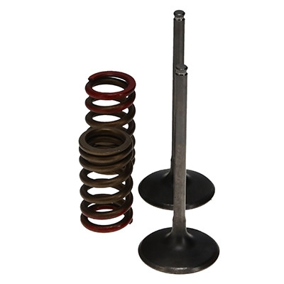 ProX Racing Parts ProX Zestaw Zaworów Ssących Stalowych (+sprężyny) Kit KX250F '04-06 RM-Z250 '04-06