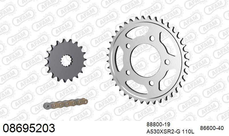 AFAM Zestaw napędowy (stal) TRIUMPH 1200 TROPHY 1999-2001 (łańcuch A530XSR2-G 110L, zębatki 19, 40)