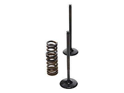 ProX Racing Parts ProX Zestaw Zaworów Ssących Stalowych (+sprężyny) KTM250SX/EXC-F '08-12