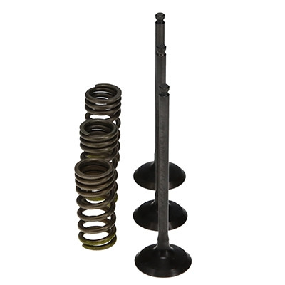ProX Racing Parts ProX Zestaw Zaworów Ssących Stalowych (+sprężyny) YZ250F '01-13 + WR250F
