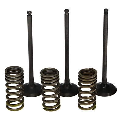 ProX Racing Parts ProX Zestaw Zaworów Ssących Stalowych (+sprężyny) YZ250F '01-13 + WR250F