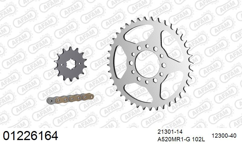 Zestaw napędowy AFAM do YAMAHA SR 250