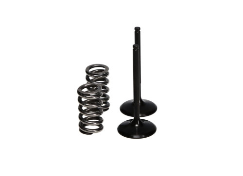 ProX Racing Parts ProX Zestaw Zaworów Ssących Stalowych (+sprężyny) YZ450F '10-13