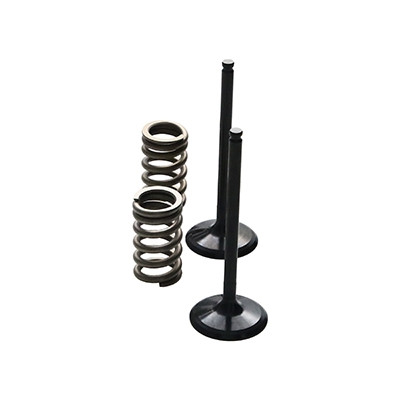 ProX Racing Parts ProX Zestaw Zaworów Ssących Stalowych (+sprężyny) YZ250F '14-18