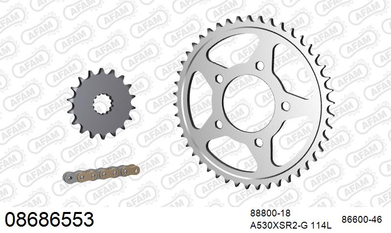 Zestaw napędowy AFAM do TRIUMPH Tiger 955, Tiger 955 Till VIN 198874