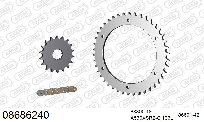 Zestaw napędowy AFAM do TRIUMPH Daytona 955 i, Daytona 955 i Single Sided Swingarm