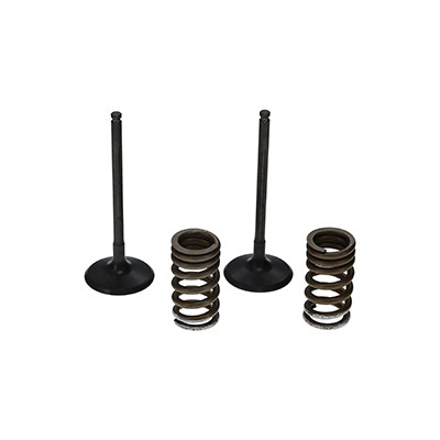 ProX Racing Parts ProX Zestaw Zaworów Ssących Stalowych (+sprężyny) RM-Z250 '07-20