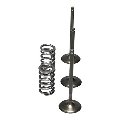 ProX Racing Parts ProX Zestaw Zaworów Ssących Stalowych (+sprężyny) YZ450F'03-09+WR450F'03-15