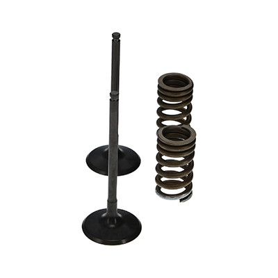 ProX Racing Parts ProX Zestaw Zaworów Ssących Stalowych (+sprężyny) RM-Z250 '07-20