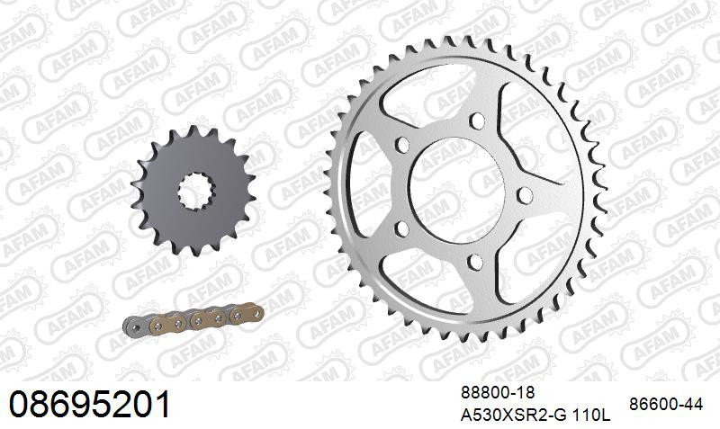 AFAM Zestaw napędowy (stal) TRIUMPH 1200 TROPHY 1994-1995 (łańcuch A530XSR2-G 110L, zębatki 18, 44)