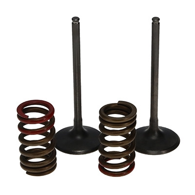 ProX Racing Parts ProX Zestaw Zaworów Ssących Stalowych (+sprężyny) Kit KX250F '04-06 RM-Z250 '04-06
