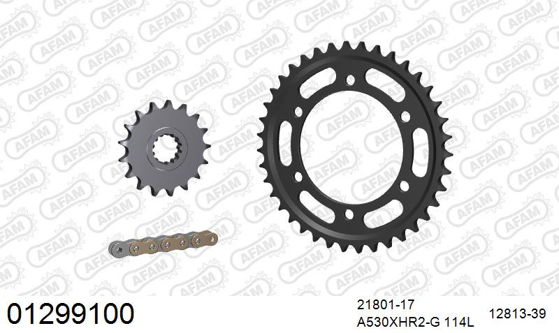 Zestaw napędowy AFAM do YAMAHA MT 01, MT 01 S