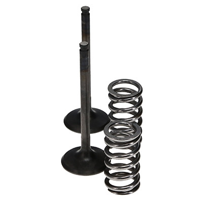 ProX Racing Parts ProX Zestaw Zaworów Wydechowych Stalowych (+sprężyny) YZ/WR450F '03-09