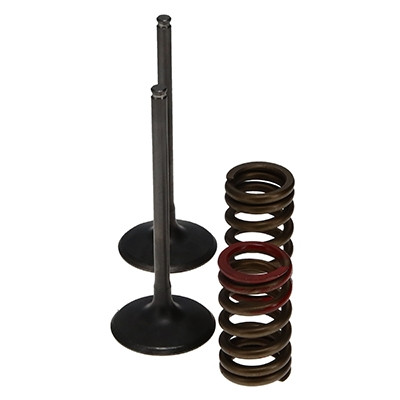 ProX Racing Parts ProX Zestaw Zaworów Ssących Stalowych (+sprężyny) Kit KX250F '04-06 RM-Z250 '04-06