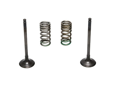 ProX Racing Parts ProX Zestaw Zaworów Wydechowych Stalowych (+sprężyny) YZ/WR250F '01-13