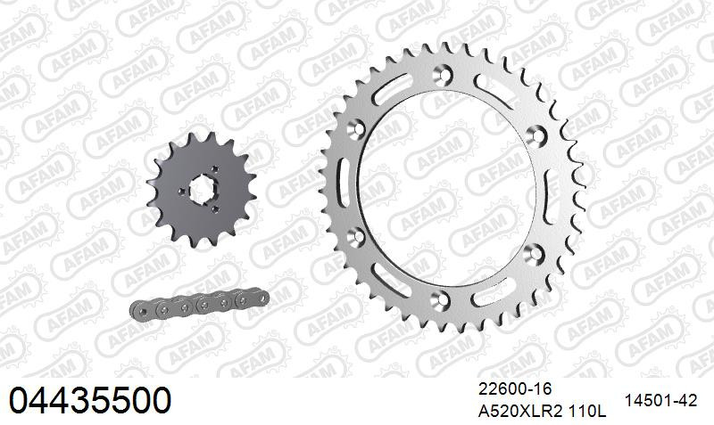 Zestaw napędowy AFAM do CAGIVA 350 T4 E-R