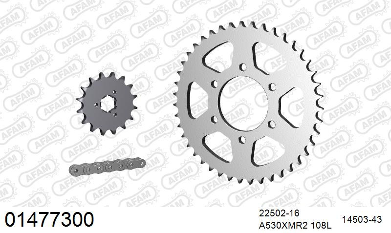 Zestaw napędowy AFAM do SUZUKI GT 750 L,M,A,B